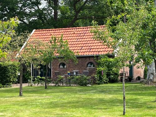 Garden, Landelijk gelegen Huisje op erf in Veeningen Garden, Landelijk gelegen Huisje op erf in Veeningen