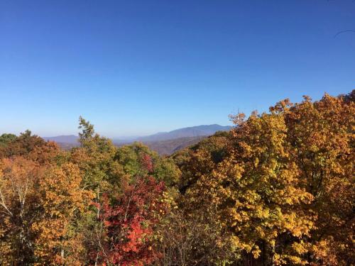 View, The Edelweiss Estate in Gatlinburg (TN) View, The Edelweiss Estate in Gatlinburg (TN)