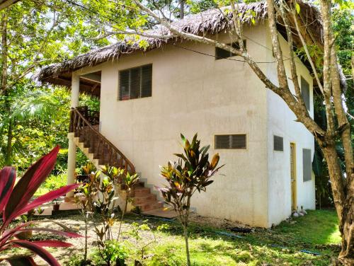 Exterior view, The Sylvia in Siquijor Island Exterior view, The Sylvia in Siquijor Island