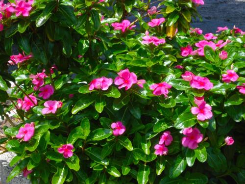 This photo about A Place to Be - Nokomis Beach shared on HyHotel.com