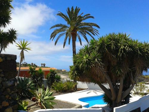 This photo about Bungalows Canary Islands shared on HyHotel.com