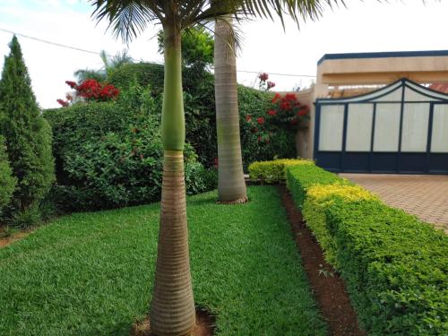 Ikaze B&B in Kigali Ikaze B&B in Kigali