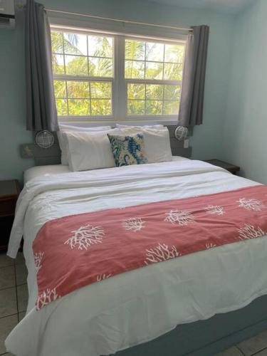 Beautiful Villa just steps away from the beach! in George Town Beautiful Villa just steps away from the beach! in George Town