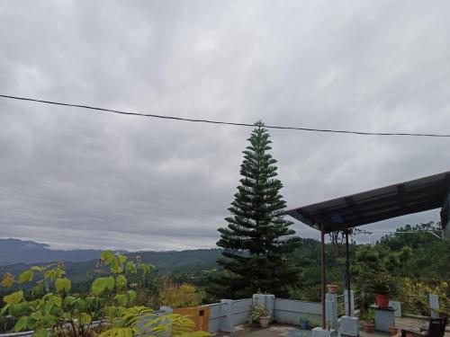 THE REAL PLACE in Thị trấn Almora THE REAL PLACE in Thị trấn Almora
