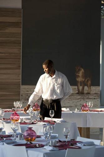 مطعم, Emanya@Etosha in يتوشا مطعم, Emanya@Etosha in يتوشا