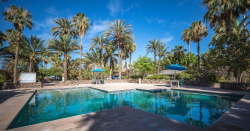 สระว่ายน้ำ, Hotel Oasis in โลเรโต้ สระว่ายน้ำ, Hotel Oasis in โลเรโต้