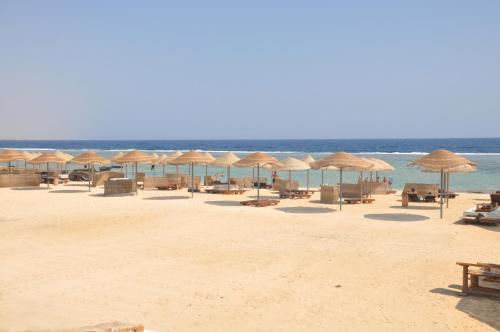 Bãi biển, ONATTI Beach Resort - Marsa Alam in El Quseir Bãi biển, ONATTI Beach Resort - Marsa Alam in El Quseir
