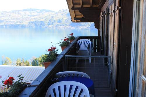 This photo about Hotel Seeblick shared on HyHotel.com