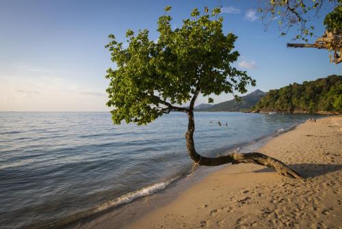 沙灘, 象島白色之結酒店 (The White Knot Koh Chang) in 象島 沙灘, 象島白色之結酒店 (The White Knot Koh Chang) in 象島