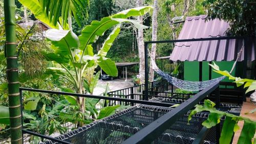 Nua Tone Resort & Cafe near Green Elephant Sanctuary Park Nua Tone Resort & Cafe near Green Elephant Sanctuary Park