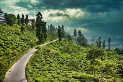 Surrounding environment, Traditional Homestay in Kurseong Surrounding environment, Traditional Homestay in Kurseong