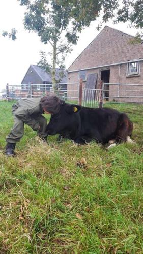 De Kaasmakerij - Ruim vakantiehuisje op Huize Blokland in Hem De Kaasmakerij - Ruim vakantiehuisje op Huize Blokland in Hem