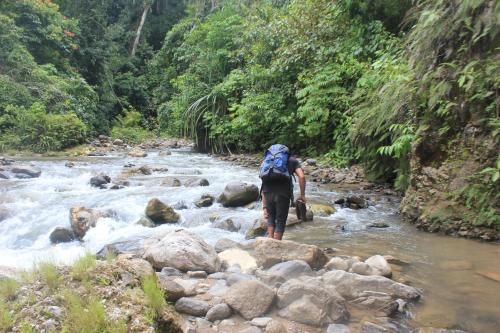 0813-7032-6036, ketambe adventure, trekking, rafting, hikking, orang utan in Pulo Sanggar 0813-7032-6036, ketambe adventure, trekking, rafting, hikking, orang utan in Pulo Sanggar