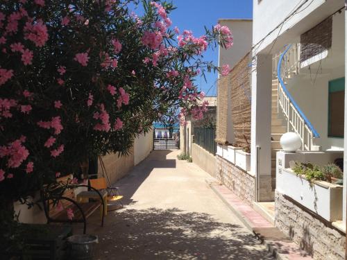 Cuccolido A Scoglitti
Cuccolido A Scoglitti