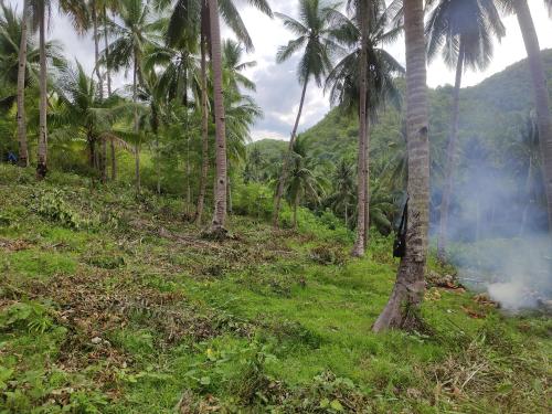 ilaia farm and glamping resort in Tabuelan ilaia farm and glamping resort in Tabuelan