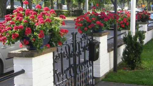 This photo about Monicas Rumsuthyrning shared on HyHotel.com