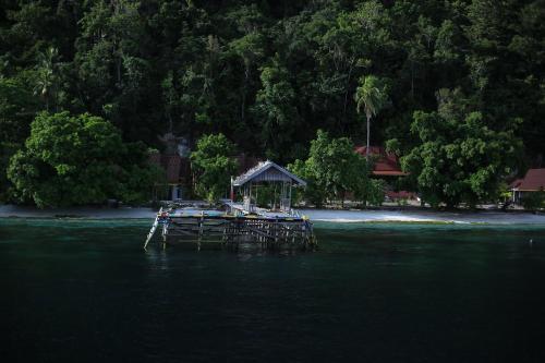 Amoryg Resort and Dive Raja Ampat in Raja Ampat Amoryg Resort and Dive Raja Ampat in Raja Ampat