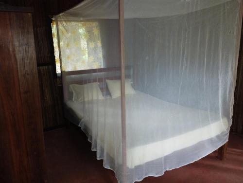 Chambres d'hôtes Villa Les Orchidées Chez Ago (Chambres d'hotes Villa Les Orchidees Chez Ago) in サント マリー島 Chambres d'hôtes Villa Les Orchidées Chez Ago (Chambres d'hotes Villa Les Orchidees Chez Ago) in サント マリー島