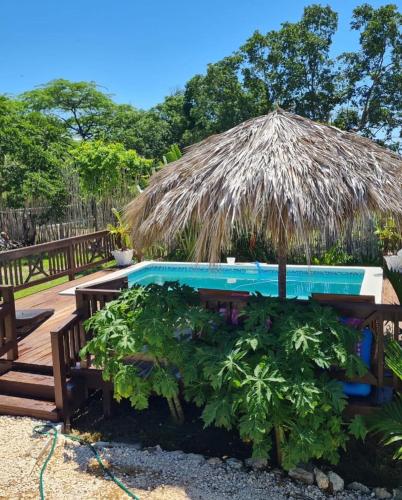 Azteca Villas in Treasure Beach Azteca Villas in Treasure Beach