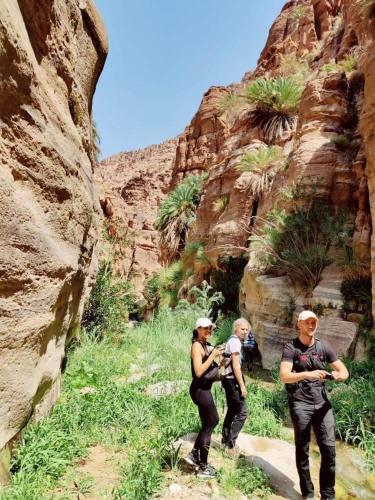 Dana Sunset Eco Camp in Dana Dana Sunset Eco Camp in Dana