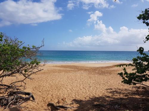 плаж, L'Aurielle, Tout le confort à 500m de la plage (L'Aurielle, Tout le confort a 500m de la plage) in Plessis-Nogent плаж, L'Aurielle, Tout le confort à 500m de la plage (L'Aurielle, Tout le confort a 500m de la plage) in Plessis-Nogent