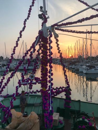 Le Tricorne in Saint Vaast La Hougue Le Tricorne in Saint Vaast La Hougue