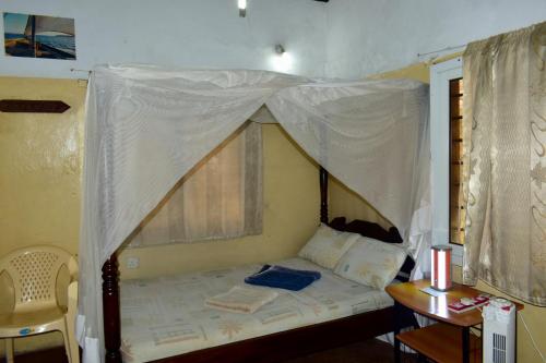 JamboHouse Lamu in Lamu JamboHouse Lamu in Lamu