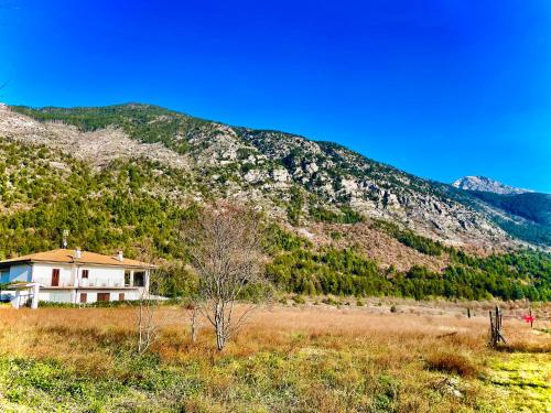 Celestine's V. ~ Sulmona ~ in Badia Morronese Celestine's V. ~ Sulmona ~ in Badia Morronese