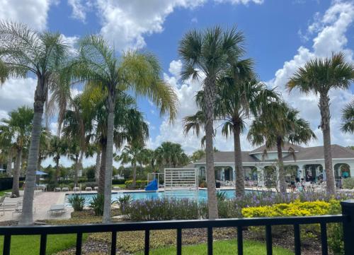 Swimming pool, Brand new charming house with swimming pool in Apollo Beach Swimming pool, Brand new charming house with swimming pool in Apollo Beach