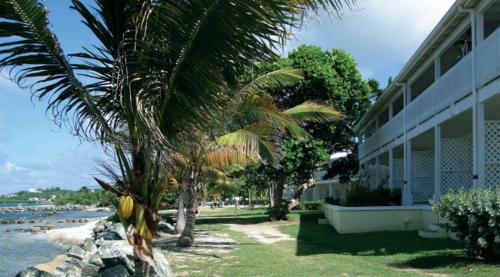 Strand, Tamarind Reef Resort in Christiansted Strand, Tamarind Reef Resort in Christiansted