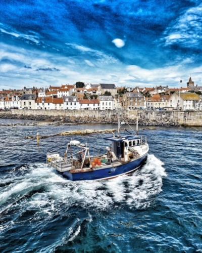 Number Twenty Six - 2 miles from Elie Beach - 15mins to St Andrews in Colinsburgh Number Twenty Six - 2 miles from Elie Beach - 15mins to St Andrews in Colinsburgh