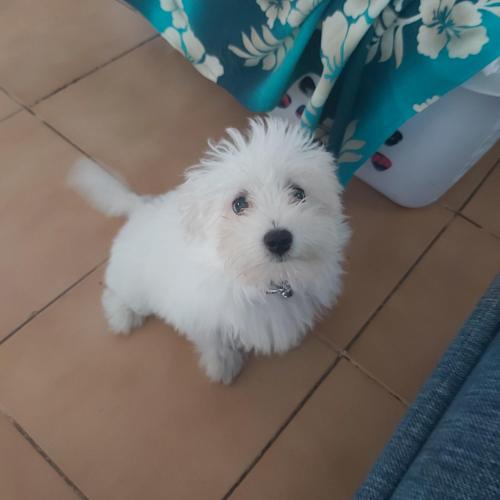 Raihei Auberge de jeunesse Chez l'habitant à Bora Bora (Raihei Auberge de jeunesse Chez l'habitant a Bora Bora) near مطار Bora Bora Raihei Auberge de jeunesse Chez l'habitant à Bora Bora (Raihei Auberge de jeunesse Chez l'habitant a Bora Bora) near مطار Bora Bora