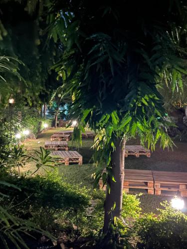 Inti Hostel Pushkar in Pushkar Inti Hostel Pushkar in Pushkar