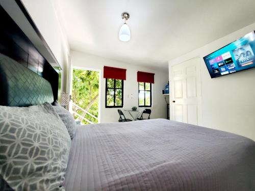Cozumel 400A - Vacation Rental in Cozumel Cozumel 400A - Vacation Rental in Cozumel