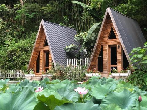 Garden, Homestay Đien Bien- Thung Lung Hoa Hong in Dien Bien Phu Garden, Homestay Đien Bien- Thung Lung Hoa Hong in Dien Bien Phu