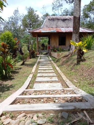 Orangutan Bungalow in Sampe Raya Orangutan Bungalow in Sampe Raya