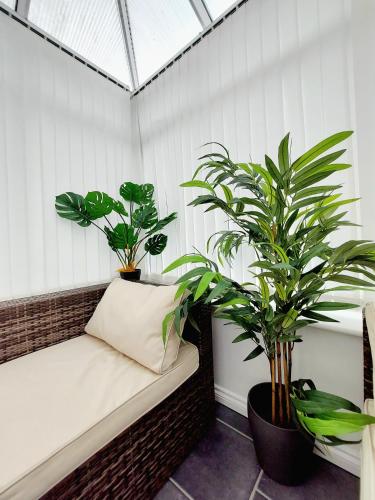 Garden, Lancaster House - Entire 4Bed House Serviced Accommodation Newcastle FREE WIFI & FREE 1 OFF STREET P in Newcastle Airport and Nearby Garden, Lancaster House - Entire 4Bed House Serviced Accommodation Newcastle FREE WIFI & FREE 1 OFF STREET P in Newcastle Airport and Nearby