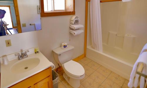 Bathroom, Canyon View Motel- Family w Queen Daybed Trundle in Silverton (CO) Bathroom, Canyon View Motel- Family w Queen Daybed Trundle in Silverton (CO)