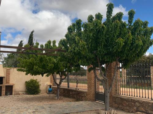 Casa Rural Villa Lucia in Ossa De Montiel Casa Rural Villa Lucia in Ossa De Montiel