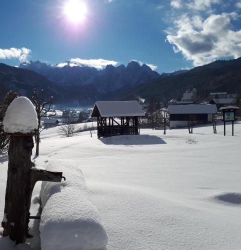 Alrededores, Transylvania Villa & Spa in Gosau Alrededores, Transylvania Villa & Spa in Gosau