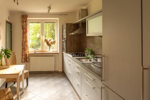 Konyha, Apartmán Lukas s KRBEM v centru (Apartman Lukas s KRBEM v centru) in Karvina Darkov Konyha, Apartmán Lukas s KRBEM v centru (Apartman Lukas s KRBEM v centru) in Karvina Darkov