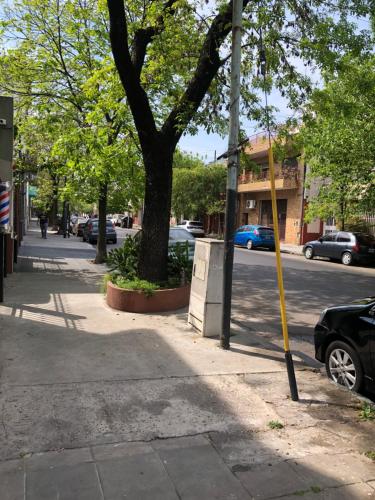 King & Queen in Parque Patricios King & Queen in Parque Patricios