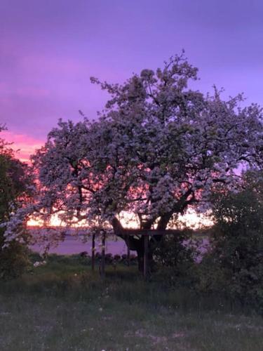 Svinaberga Skola. Eget boende i gammal skolsal. in Kivik Svinaberga Skola. Eget boende i gammal skolsal. in Kivik