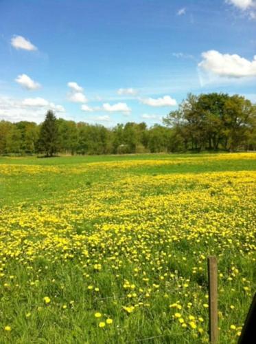 Svinaberga Skola. Eget boende i gammal skolsal. in Kivik Svinaberga Skola. Eget boende i gammal skolsal. in Kivik