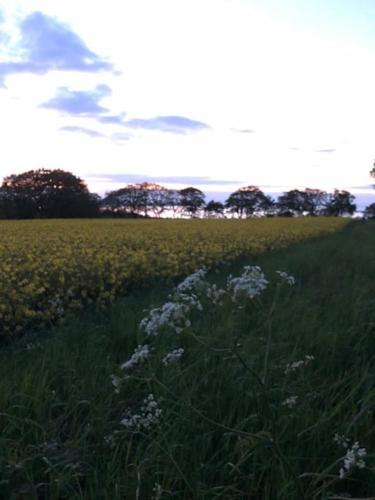 Svinaberga Skola. Eget boende i gammal skolsal. in Kivik Svinaberga Skola. Eget boende i gammal skolsal. in Kivik