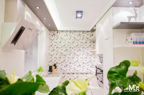 This photo about Mojito Apartments – Botanica shared on HyHotel.com