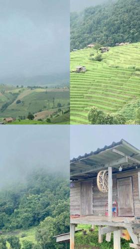 บ้านพักหน่อลอเคาะ ป่าบงเปียง near Doi Inthanon National Park บ้านพักหน่อลอเคาะ ป่าบงเปียง near Doi Inthanon National Park