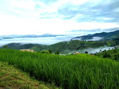 บ้านพักหน่อลอเคาะ ป่าบงเปียง near Doi Inthanon National Park บ้านพักหน่อลอเคาะ ป่าบงเปียง near Doi Inthanon National Park