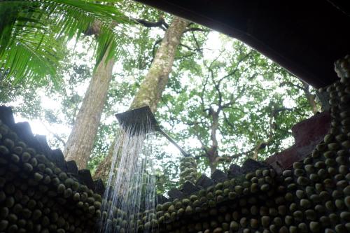 Bamboo Bungalows in Koh Phayam (Ranong) Bamboo Bungalows in Koh Phayam (Ranong)