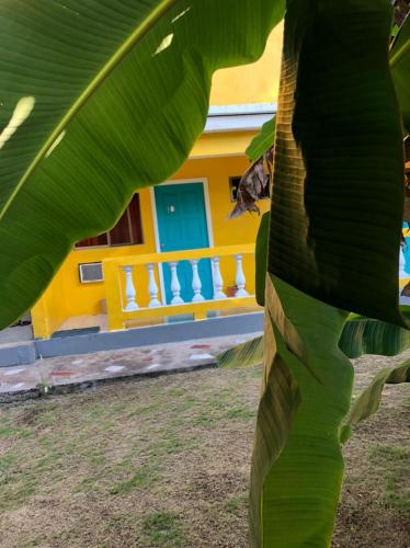 Pemandangan, Sunshine Hotel in Little Corn Island Pemandangan, Sunshine Hotel in Little Corn Island